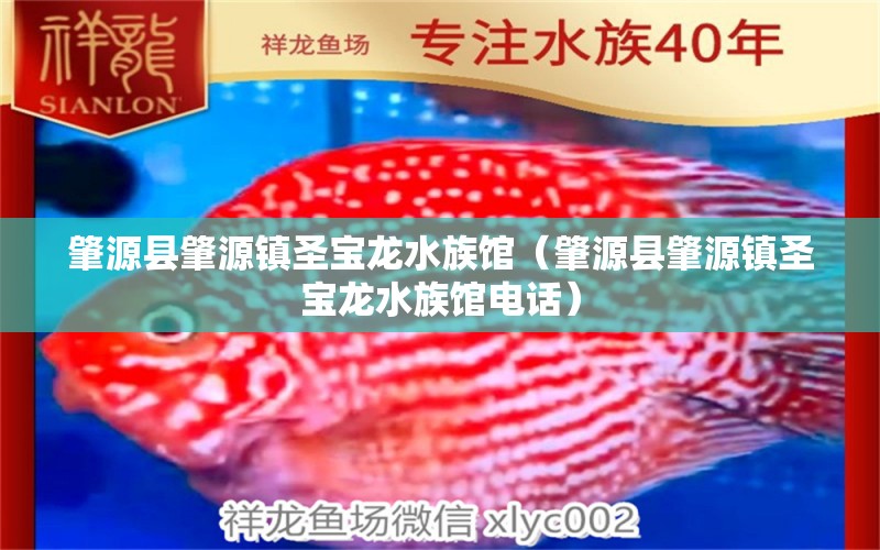 肇源縣肇源鎮(zhèn)圣寶龍水族館（肇源縣肇源鎮(zhèn)圣寶龍水族館電話）