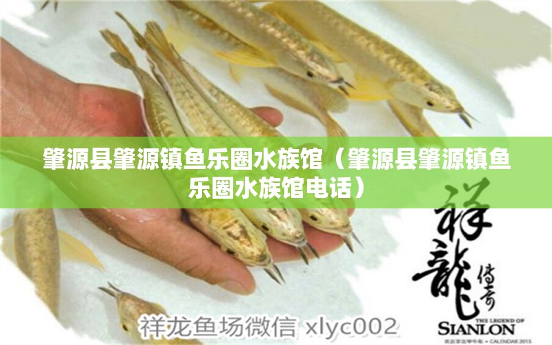 肇源縣肇源鎮(zhèn)魚樂圈水族館（肇源縣肇源鎮(zhèn)魚樂圈水族館電話） 全國水族館企業(yè)名錄