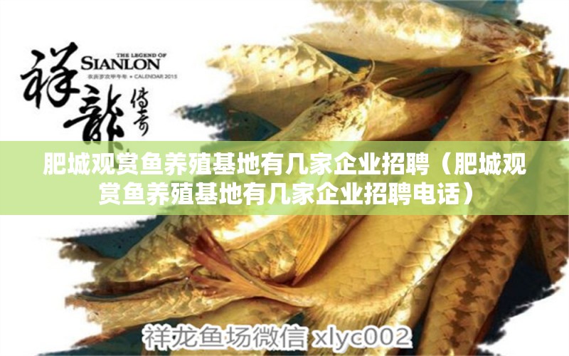 肥城觀賞魚(yú)養(yǎng)殖基地有幾家企業(yè)招聘（肥城觀賞魚(yú)養(yǎng)殖基地有幾家企業(yè)招聘電話(huà)）