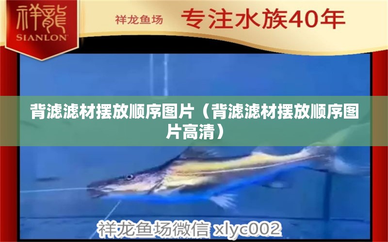 背濾濾材擺放順序圖片（背濾濾材擺放順序圖片高清） 祥龍水族醫(yī)院