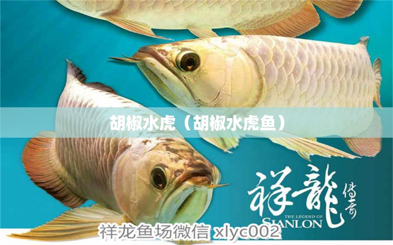 胡椒水虎（胡椒水虎魚）