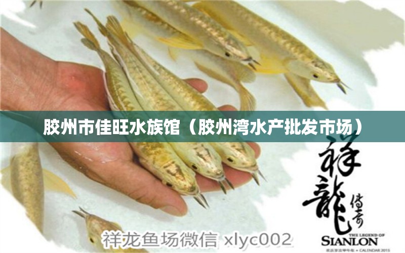 膠州市佳旺水族館（膠州灣水產(chǎn)批發(fā)市場(chǎng)）