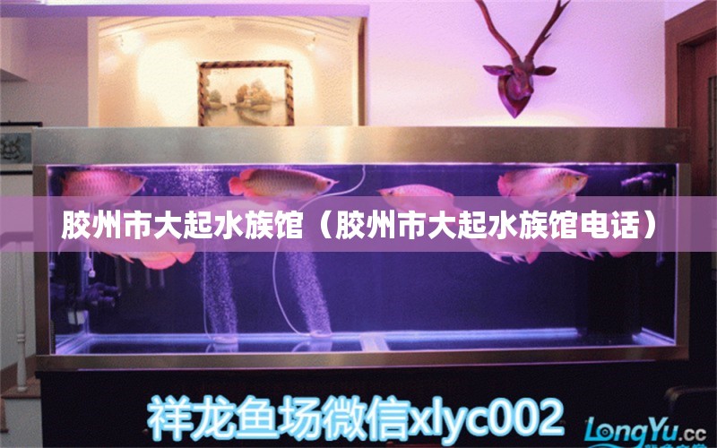 膠州市大起水族館（膠州市大起水族館電話）