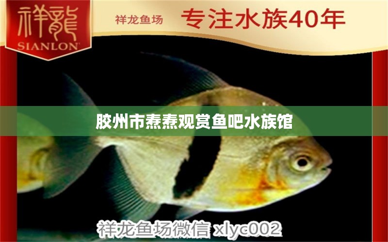 膠州市燾燾觀(guān)賞魚(yú)吧水族館 全國(guó)水族館企業(yè)名錄