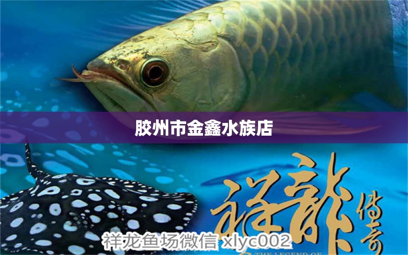 膠州市金鑫水族店