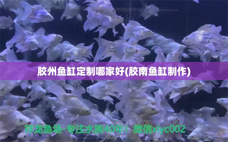 膠州魚缸定制哪家好(膠南魚缸制作) 藍(lán)帆三間魚