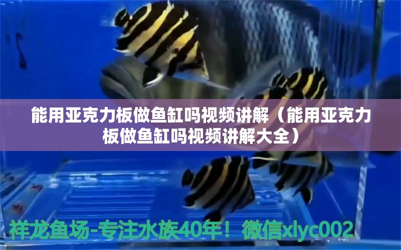 能用亞克力板做魚缸嗎視頻講解（能用亞克力板做魚缸嗎視頻講解大全）