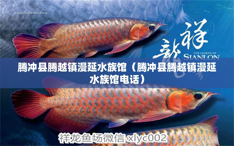 騰沖縣騰越鎮(zhèn)漫延水族館（騰沖縣騰越鎮(zhèn)漫延水族館電話）