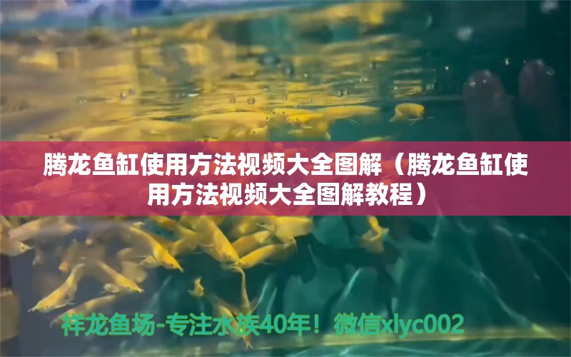 騰龍魚缸使用方法視頻大全圖解（騰龍魚缸使用方法視頻大全圖解教程） 廣州龍魚批發(fā)市場