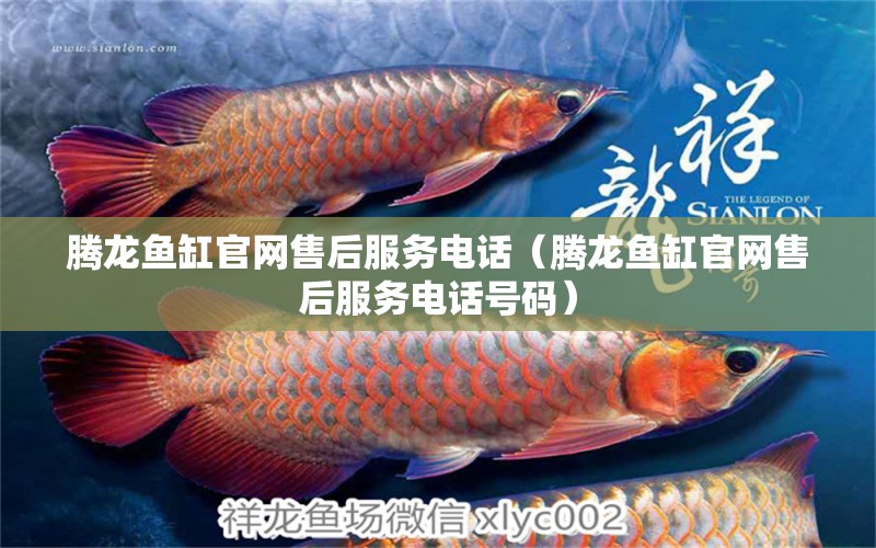 騰龍魚缸官網(wǎng)售后服務電話（騰龍魚缸官網(wǎng)售后服務電話號碼） 祥龍水族醫(yī)院