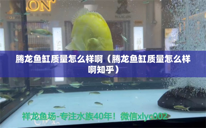 騰龍魚缸質(zhì)量怎么樣啊（騰龍魚缸質(zhì)量怎么樣啊知乎）