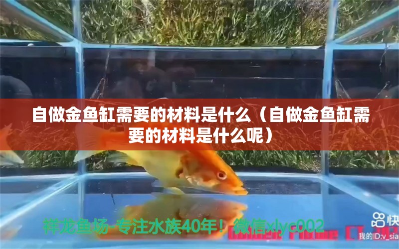 自做金魚缸需要的材料是什么（自做金魚缸需要的材料是什么呢） 祥龍水族醫(yī)院