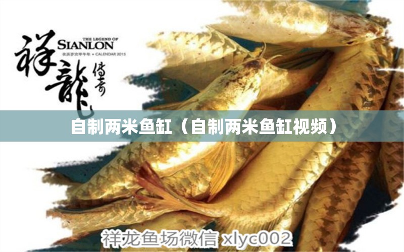 自制兩米魚缸（自制兩米魚缸視頻）