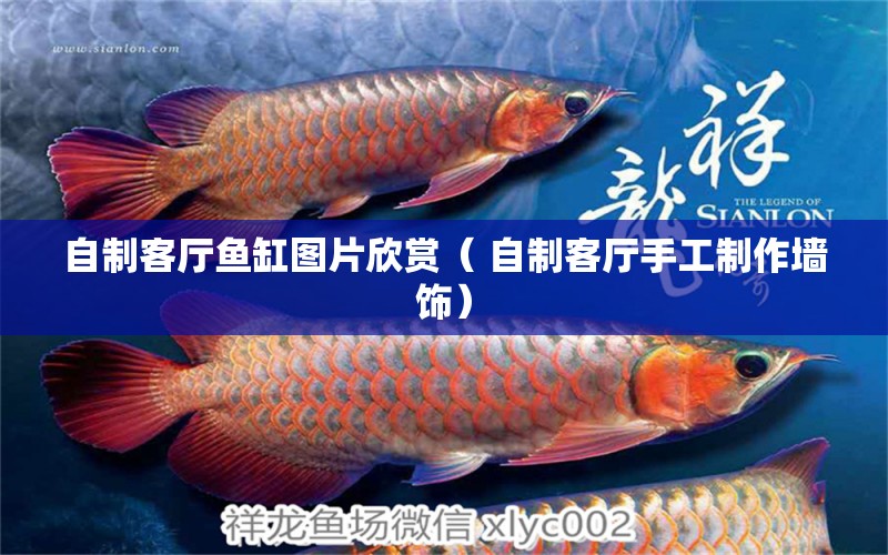 自制客廳魚缸圖片欣賞（ 自制客廳手工制作墻飾） 一眉道人魚苗 第1張