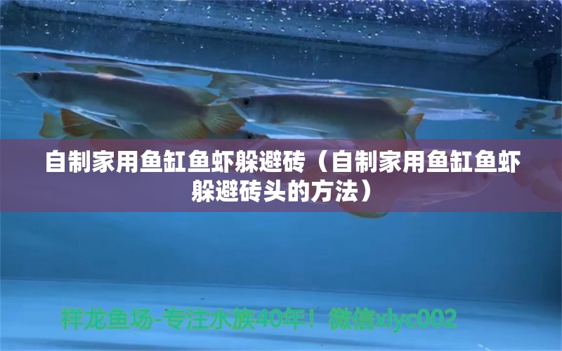 自制家用魚缸魚蝦躲避磚（自制家用魚缸魚蝦躲避磚頭的方法）