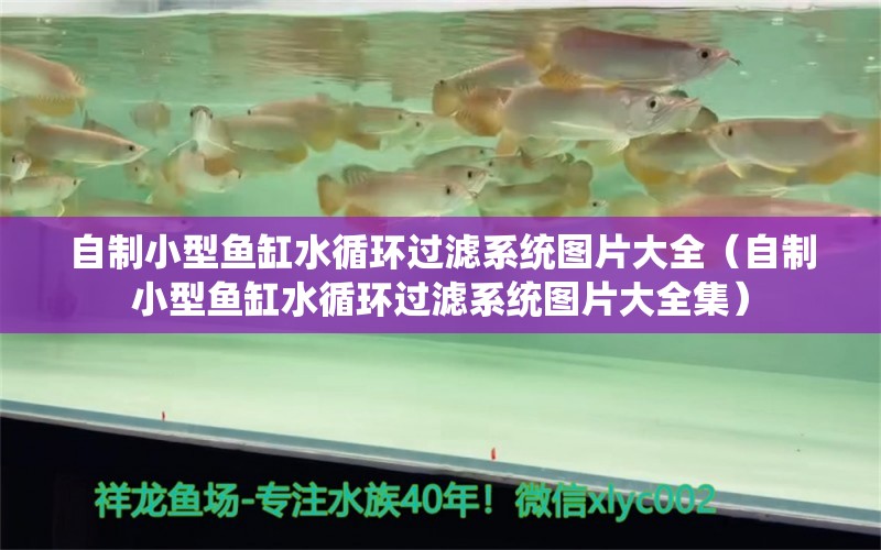 自制小型魚缸水循環(huán)過濾系統(tǒng)圖片大全（自制小型魚缸水循環(huán)過濾系統(tǒng)圖片大全集）