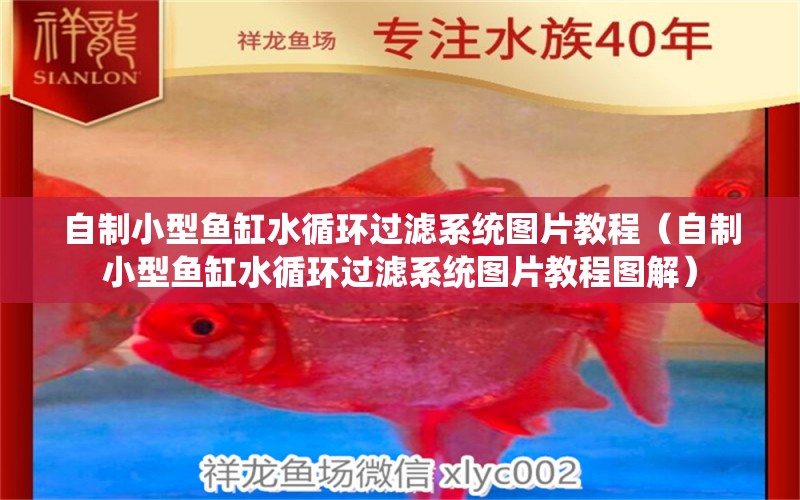 自制小型魚缸水循環(huán)過濾系統(tǒng)圖片教程（自制小型魚缸水循環(huán)過濾系統(tǒng)圖片教程圖解）