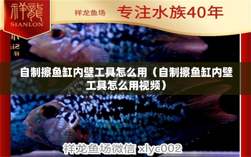 自制擦魚缸內(nèi)壁工具怎么用（自制擦魚缸內(nèi)壁工具怎么用視頻）