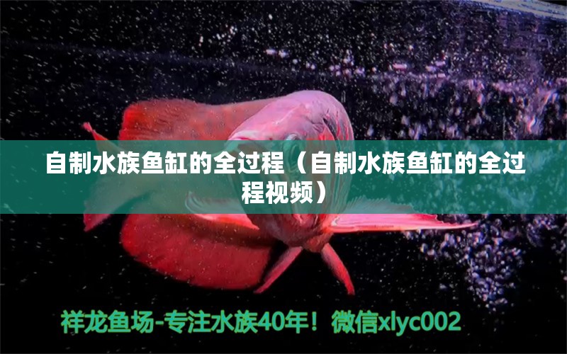 自制水族魚(yú)缸的全過(guò)程（自制水族魚(yú)缸的全過(guò)程視頻）