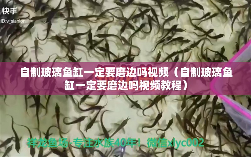 自制玻璃魚缸一定要磨邊嗎視頻（自制玻璃魚缸一定要磨邊嗎視頻教程）