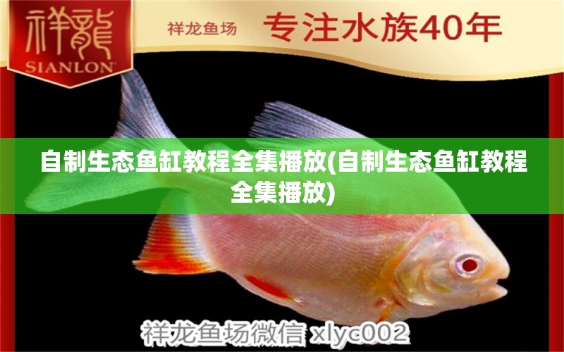 自制生態(tài)魚缸教程全集播放(自制生態(tài)魚缸教程全集播放) 鐵甲武士