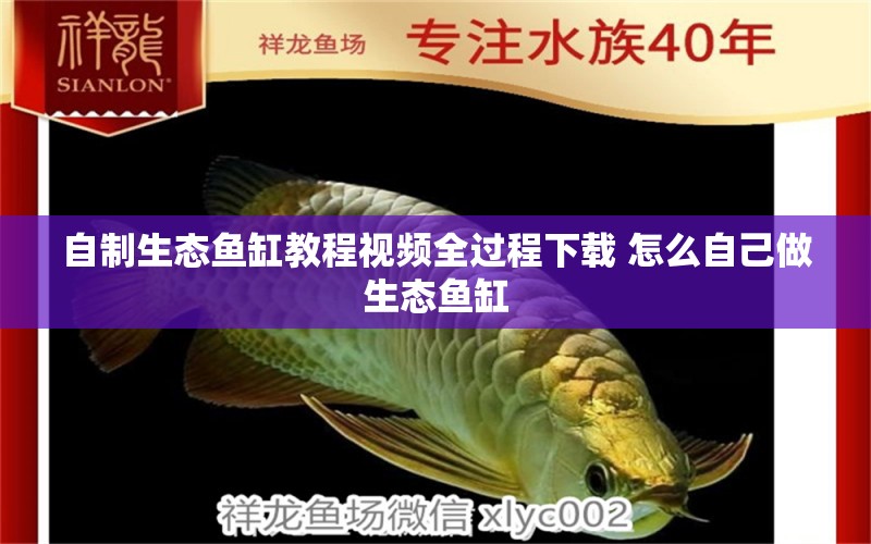 自制生態(tài)魚缸教程視頻全過程下載 怎么自己做生態(tài)魚缸