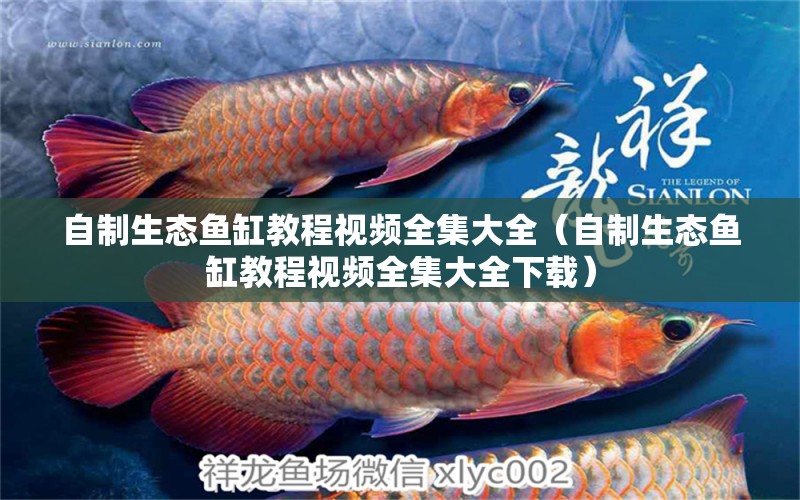 自制生態(tài)魚缸教程視頻全集大全（自制生態(tài)魚缸教程視頻全集大全下載）