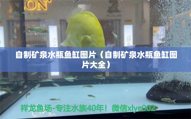 自制礦泉水瓶魚(yú)缸圖片（自制礦泉水瓶魚(yú)缸圖片大全） 孵化器