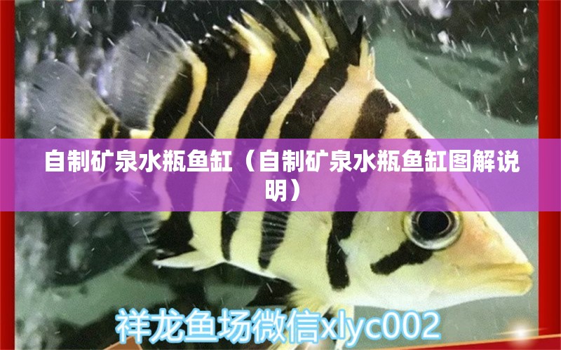 自制礦泉水瓶魚(yú)缸（自制礦泉水瓶魚(yú)缸圖解說(shuō)明）