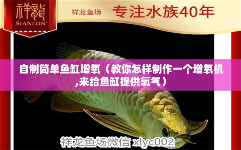 自制簡單魚缸增氧（教你怎樣制作一個增氧機,來給魚缸提供氧氣） 觀賞魚批發(fā)