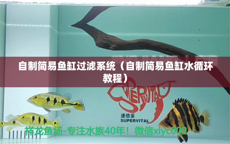 自制簡易魚缸過濾系統(tǒng)（自制簡易魚缸水循環(huán)教程） 其他品牌魚缸