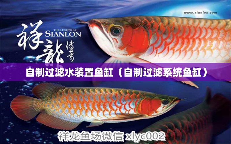 自制過濾水裝置魚缸（自制過濾系統(tǒng)魚缸）