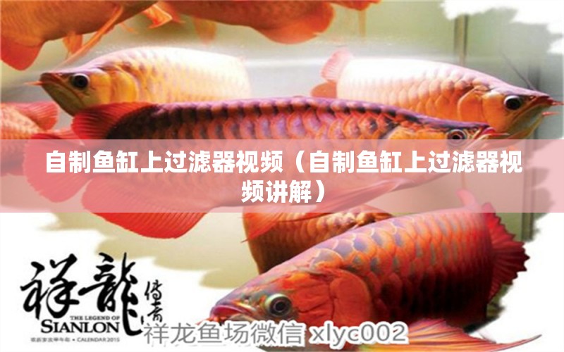 自制魚缸上過濾器視頻（自制魚缸上過濾器視頻講解）