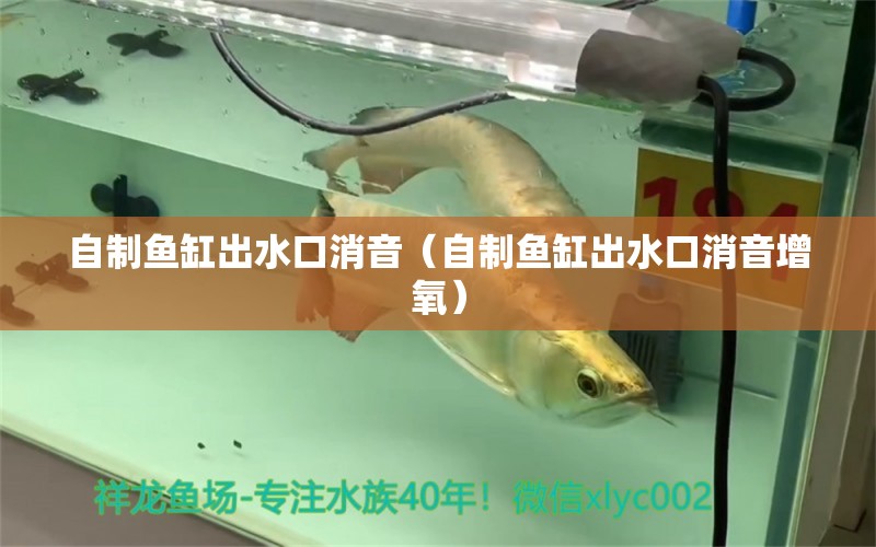 自制魚缸出水口消音（自制魚缸出水口消音增氧）