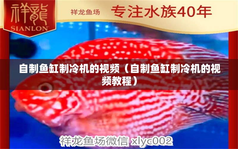 自制魚缸制冷機(jī)的視頻（自制魚缸制冷機(jī)的視頻教程）