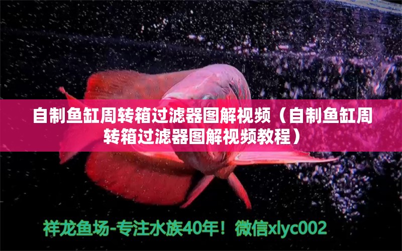 自制魚缸周轉箱過濾器圖解視頻（自制魚缸周轉箱過濾器圖解視頻教程）