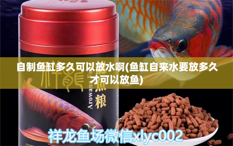 自制魚缸多久可以放水啊(魚缸自來水要放多久才可以放魚) 肺魚