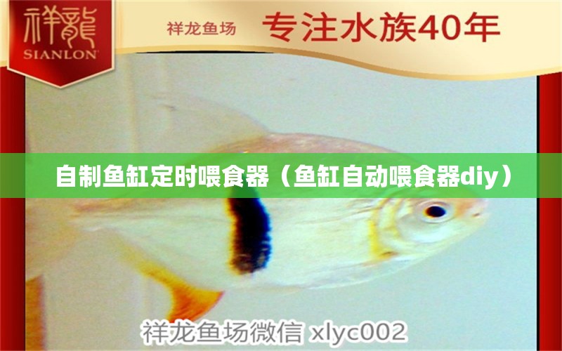 自制魚缸定時喂食器（魚缸自動喂食器diy） 喂食器