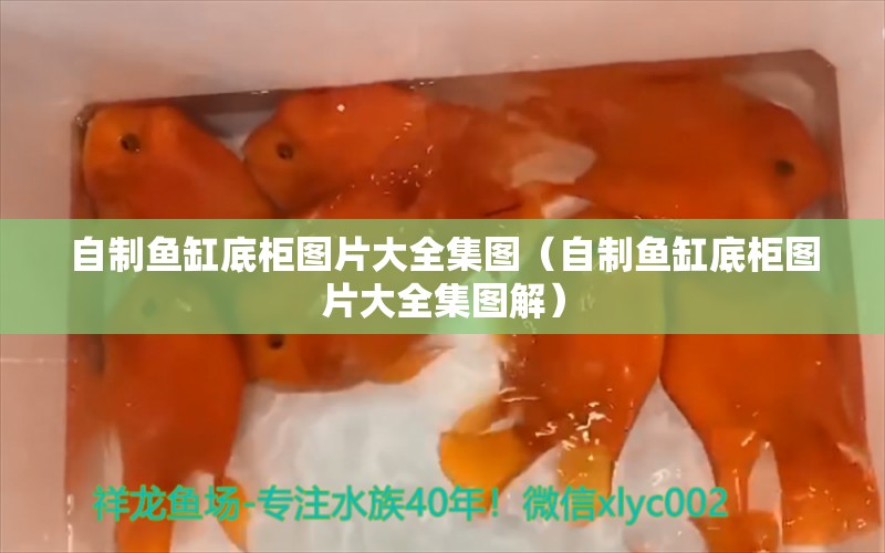 自制魚缸底柜圖片大全集圖（自制魚缸底柜圖片大全集圖解） 野彩魚