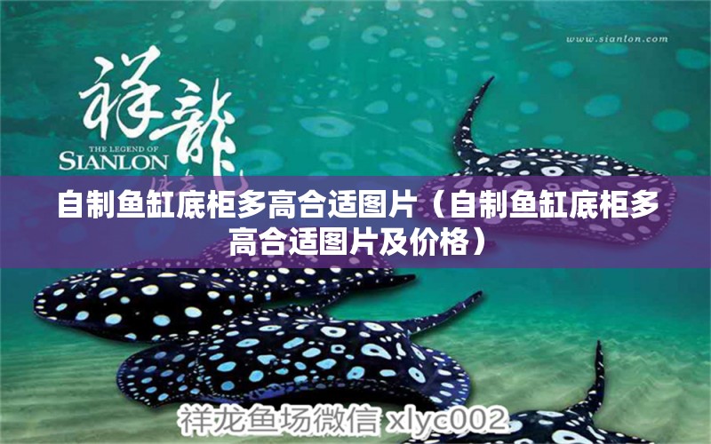 自制魚缸底柜多高合適圖片（自制魚缸底柜多高合適圖片及價格）