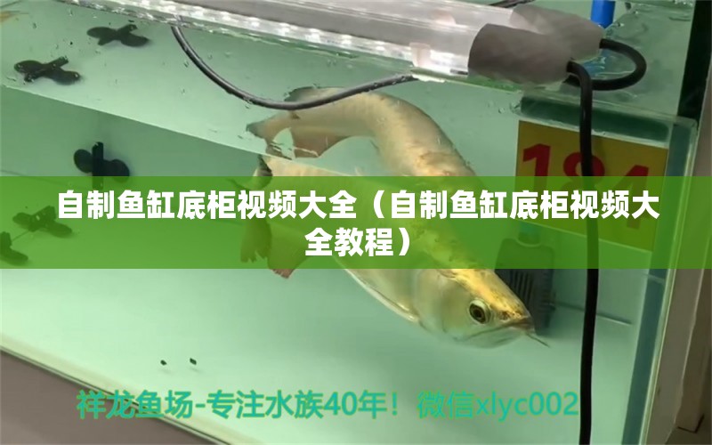 自制魚缸底柜視頻大全（自制魚缸底柜視頻大全教程）