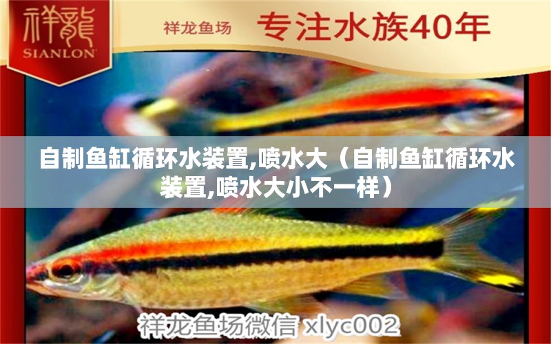 自制魚(yú)缸循環(huán)水裝置,噴水大（自制魚(yú)缸循環(huán)水裝置,噴水大小不一樣） 水草