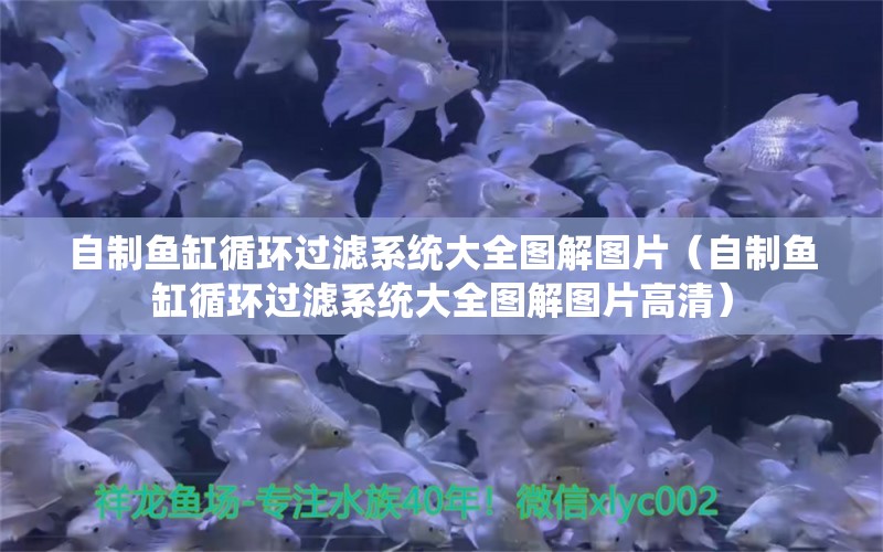 自制魚(yú)缸循環(huán)過(guò)濾系統(tǒng)大全圖解圖片（自制魚(yú)缸循環(huán)過(guò)濾系統(tǒng)大全圖解圖片高清）