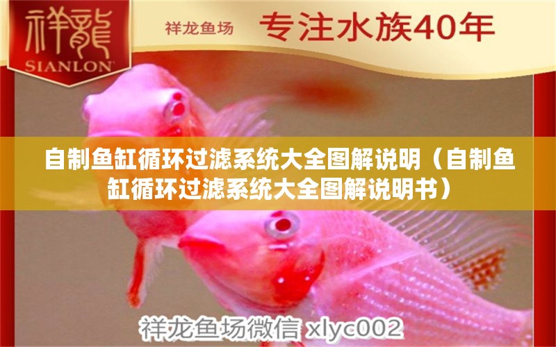 自制魚缸循環(huán)過濾系統(tǒng)大全圖解說明（自制魚缸循環(huán)過濾系統(tǒng)大全圖解說明書） 其他品牌魚缸