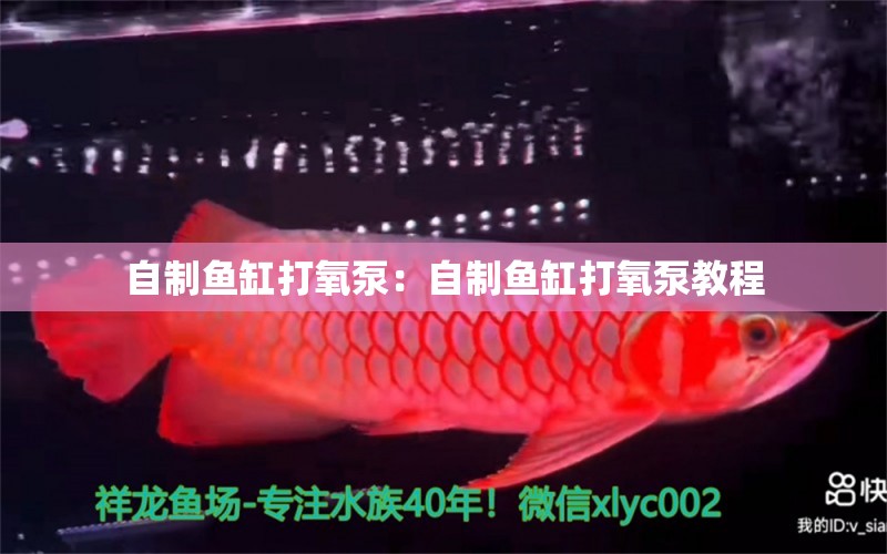 自制魚缸打氧泵：自制魚缸打氧泵教程