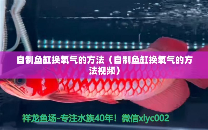 自制魚缸換氧氣的方法（自制魚缸換氧氣的方法視頻）