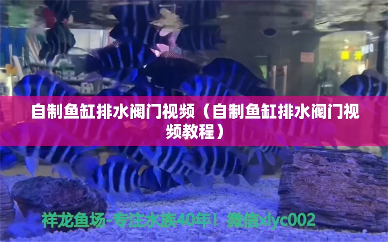 自制魚缸排水閥門視頻（自制魚缸排水閥門視頻教程）