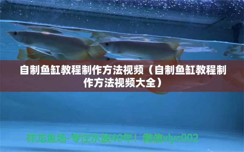 自制魚缸教程制作方法視頻（自制魚缸教程制作方法視頻大全）