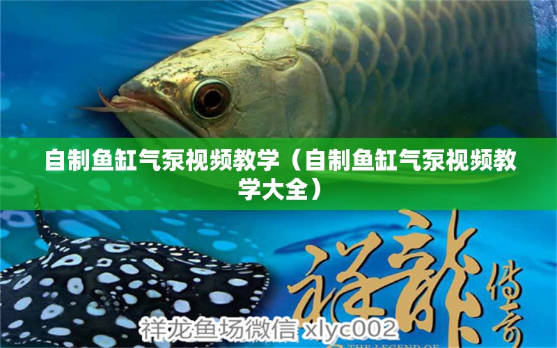 自制魚缸氣泵視頻教學(xué)（自制魚缸氣泵視頻教學(xué)大全） 祥龍水族醫(yī)院