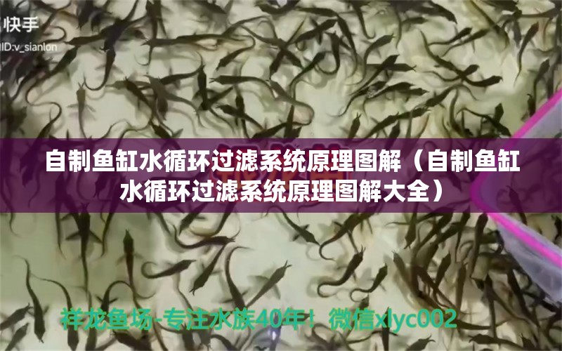 自制魚缸水循環(huán)過濾系統(tǒng)原理圖解（自制魚缸水循環(huán)過濾系統(tǒng)原理圖解大全）